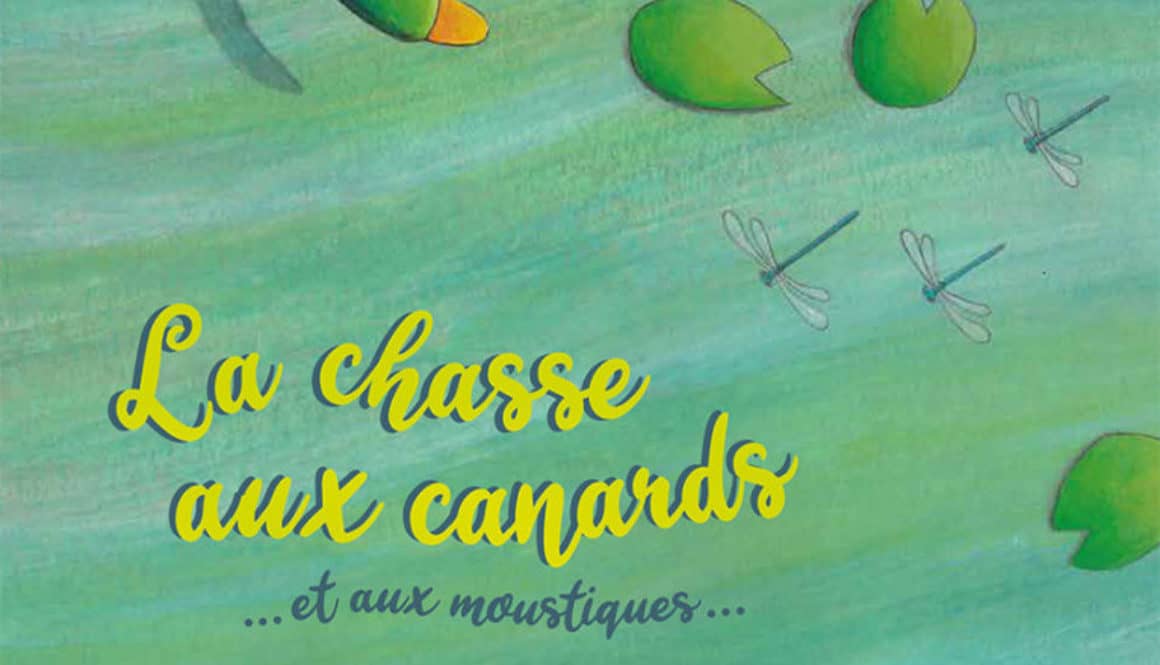 La chasse aux canards